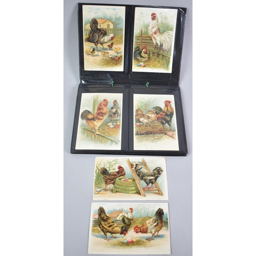 55 - A Collection of Forty Eight Vintage Postcards to include Animals and Poultry