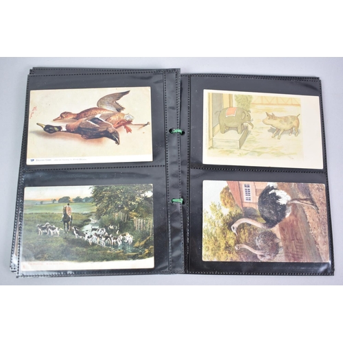 55 - A Collection of Forty Eight Vintage Postcards to include Animals and Poultry