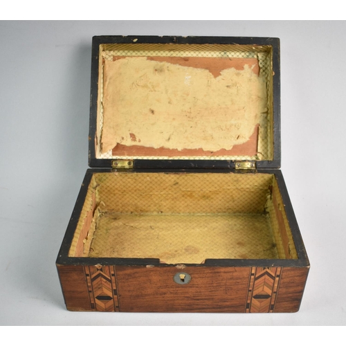 24 - A Banded Inlaid Workbox, Missing Inner Tray, 34.5cms Wide