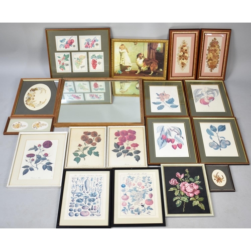 452 - A Collection of Various Botanic Prints, Mirror Etc