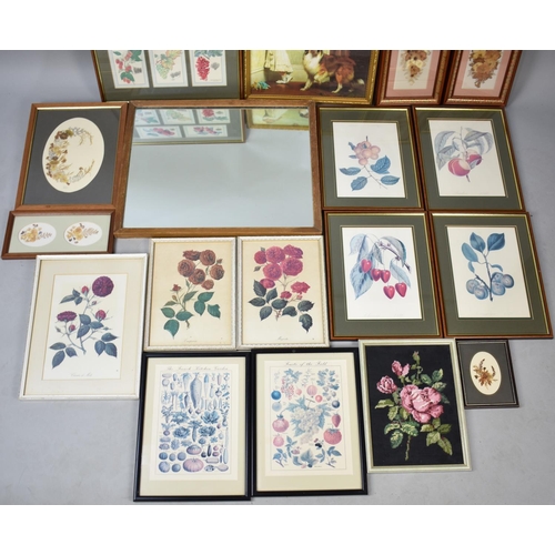 452 - A Collection of Various Botanic Prints, Mirror Etc