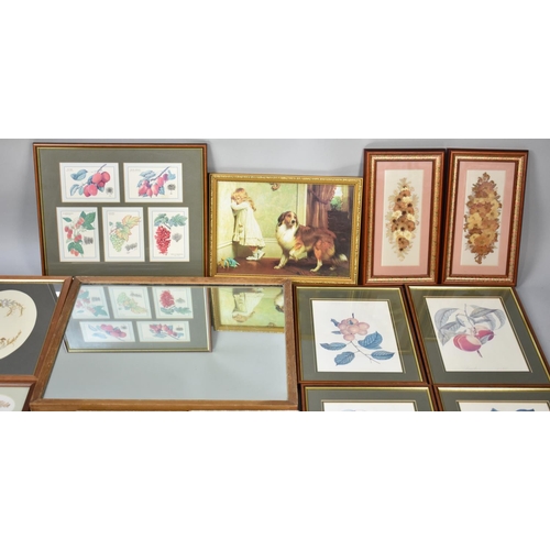 452 - A Collection of Various Botanic Prints, Mirror Etc