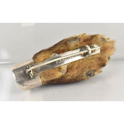 14 - A George V Silver Mounted Otters Paw Brooch, 1928, by LT Richardson, 7.5cms Long