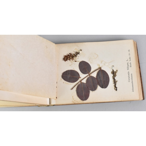 12 - An Early 20th Century Souvenir Olive Bound Book Containing Pressed Flowers and Seeds, the Inlaid Cov... 