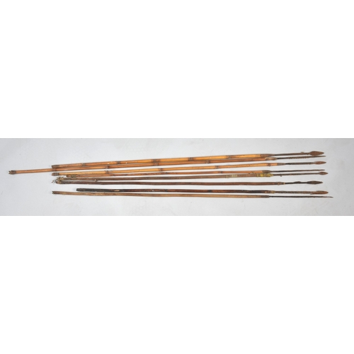 260 - A Collection of Bamboo Shafted Tribal Arrows with Animal Skin Quivers