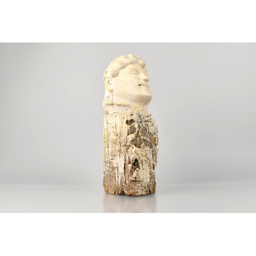 122 - An Interesting Stone Head of an Assyrian King Mounted on a Wooden Plinth, 35cm high