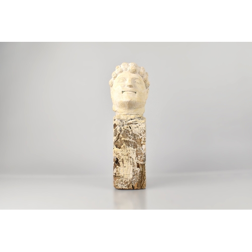 122 - An Interesting Stone Head of an Assyrian King Mounted on a Wooden Plinth, 35cm high