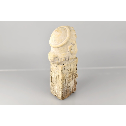 122 - An Interesting Stone Head of an Assyrian King Mounted on a Wooden Plinth, 35cm high