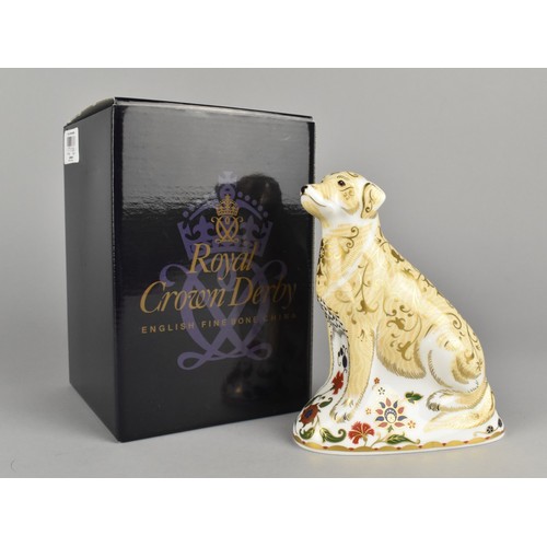 306 - A Royal Crown Derby Paperweight, Labrador, With Gold Button