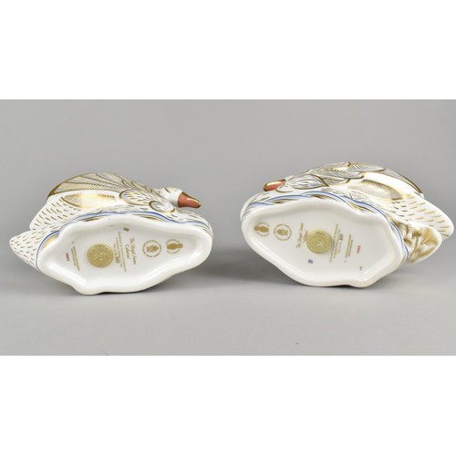 329 - A Pair of Royal Crown Derby Limited Edition Paperweights, The Royal Swans, 'William' No. 250/750, an... 