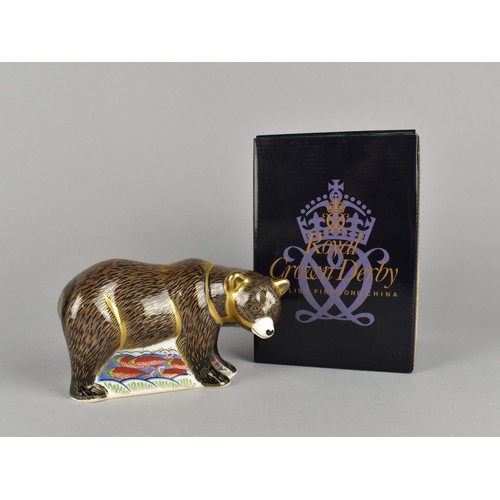 288 - A Royal Crown Derby Paperweight, Grizzly Bear, with Gold Button