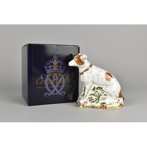 300 - A Royal Crown Derby Paperweight, Jack Russell Terrier, With Gold Button