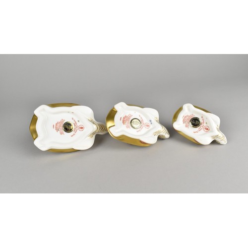 308 - Three Royal Crown Derby Limited Edition Tortoise Family Paperweights , The Yorkshire Rose Tortoise F... 