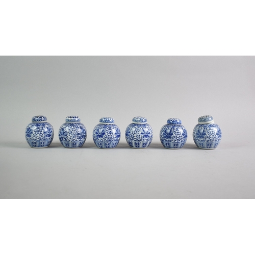 117 - A Collection of Three Cased Pairs of Blue and White Chinese Medicinal Jars with Instructions to Inne... 