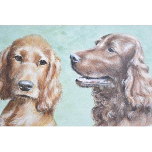 195 - A Framed Watercolour by Joan Fielden, Setter, 31x20cms