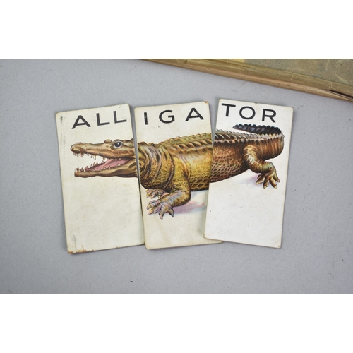 197 - A Collection of Vintage Cigarette Cards and Albums, Loose Cards Etc