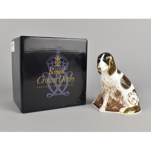 312 - A Royal Crown Derby Dog Paperweight, Molly, Gold Button