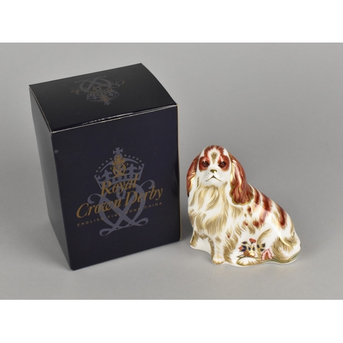 315 - A Royal Crown Derby Paperweight, Cavalier King Charles Spaniel, Gold Button