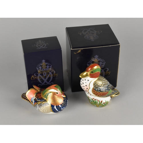 325 - A Royal Crown Derby Paperweight, Mandarin Duck Together with a Further Crown Derby Paperweight, Gree... 