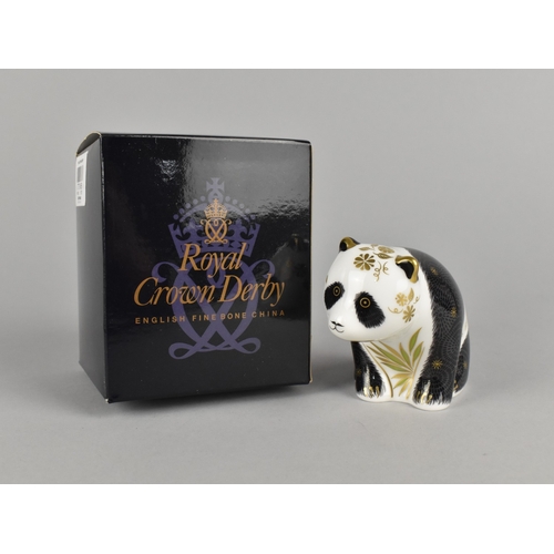 326 - A Royal Crown Derby Paperweight, Baby Panda, Gold Button