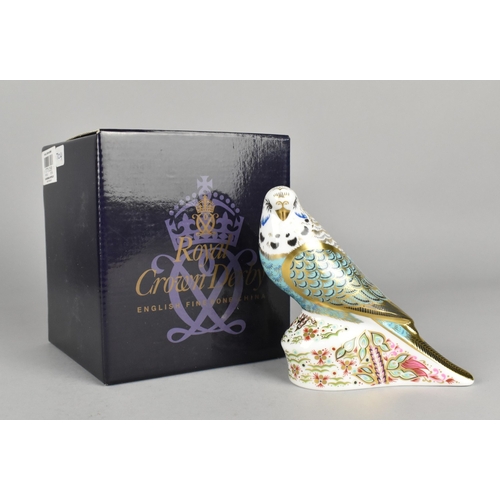 339 - A Limited Edition Royal Crown Derby Paperweight, Sky Blue Budgerigar, Gold Button