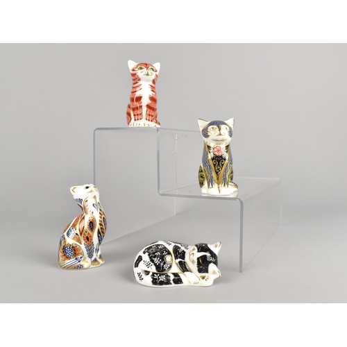 360 - Four Royal Crown Derby Kitten Paperweights, Ming, Ginger Kitten, Fireside Kitten and Siamese Kitten