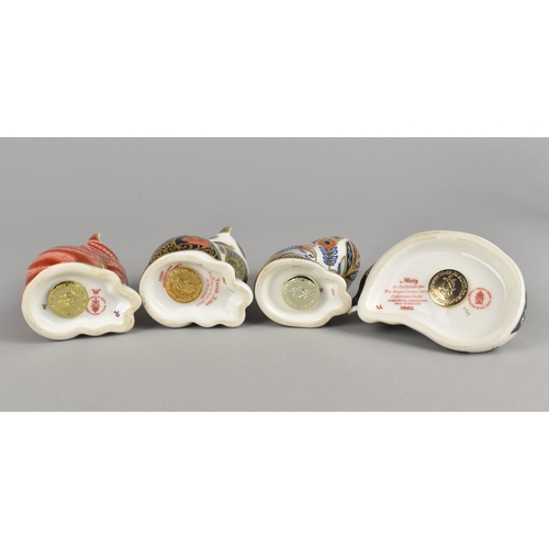 360 - Four Royal Crown Derby Kitten Paperweights, Ming, Ginger Kitten, Fireside Kitten and Siamese Kitten