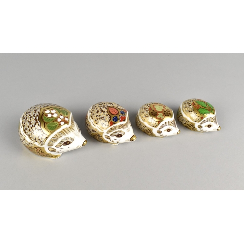 363 - Four Royal Crown Derby Hedgehog Paperweights, Limited Edition Snowberry, Bramble, Joy and Holly