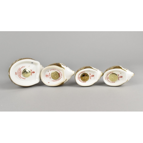 363 - Four Royal Crown Derby Hedgehog Paperweights, Limited Edition Snowberry, Bramble, Joy and Holly