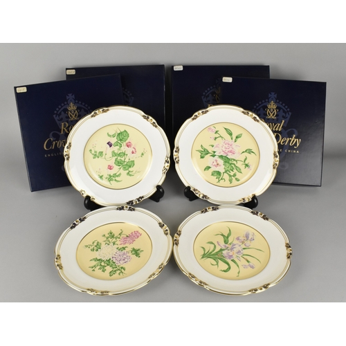 436 - A Set of Four Royal Crown Derby Limited Edition Plates - Flowers for an Indian Prince, with Boxes