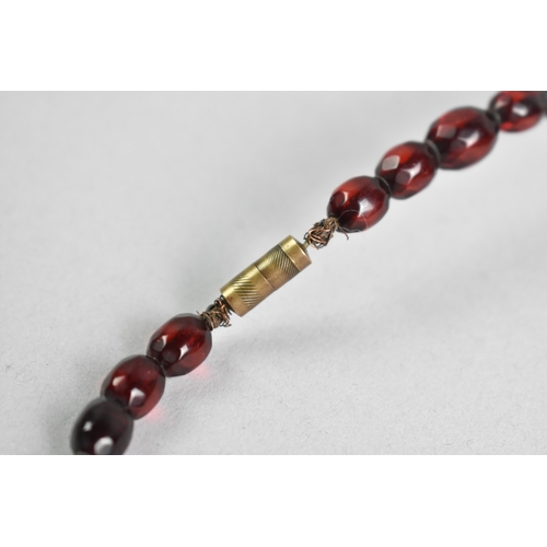 510 - A String of 38 Faceted Ovoid Cherry Bakelite 'Amber' Beads, Largest 26.3mm by 19.7mm on a Multistran... 