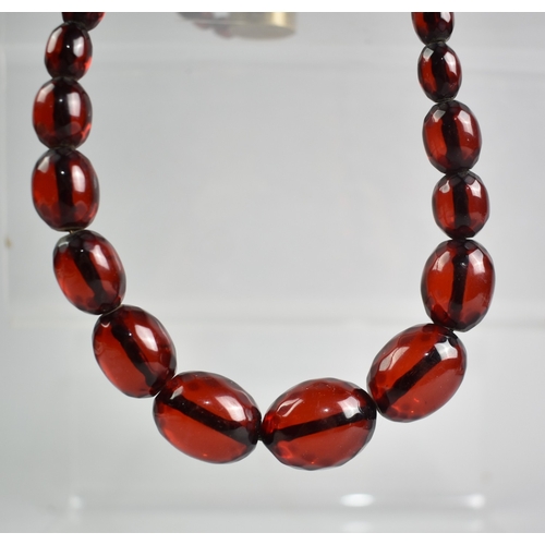 510 - A String of 38 Faceted Ovoid Cherry Bakelite 'Amber' Beads, Largest 26.3mm by 19.7mm on a Multistran... 