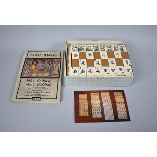 Lot 40        
