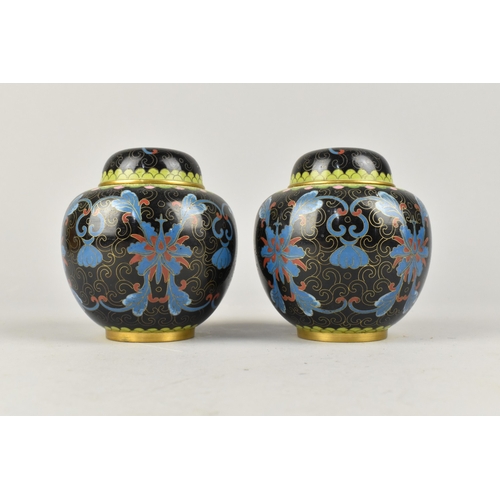 Lot 55        