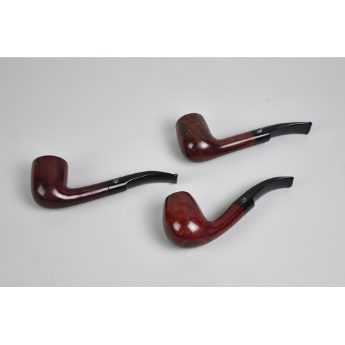 Lot 31        