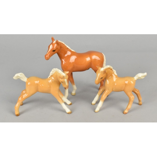 363 - Three Beswick Palomino Foals