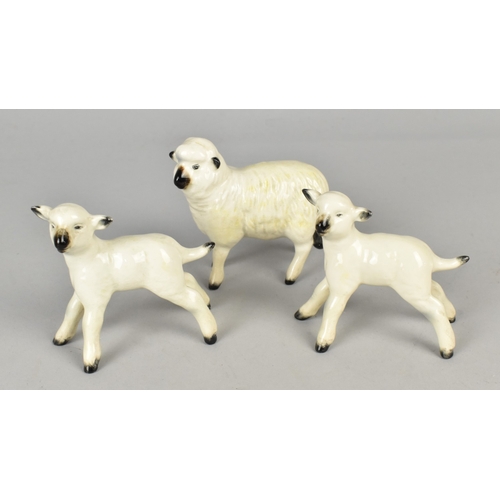 371 - A Beswick Sheep, No. 935 Together with Two Lambs No.936