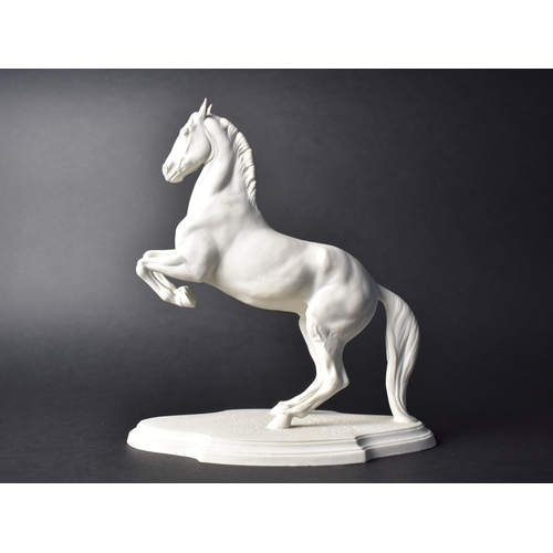 374 - A Levade Porcelain Study of a Rearing Horse, 23cm high
