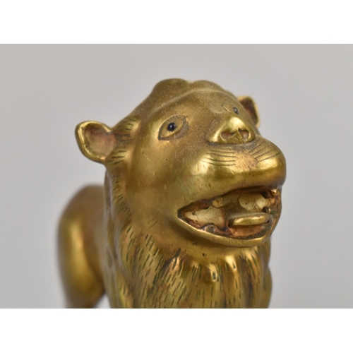 6 - A Heavy Bronze Study of a Lion, 10cms High
