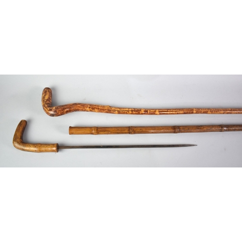 2 - An Early 20th Century Colonial Bamboo Sword Stick together with a Rustic Walking Stick