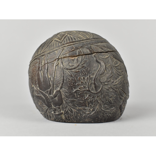 33 - An Early 19th Century Carved Colonial Coconut Decorated with Buildings and Huntsman with Rifle, Lid ... 