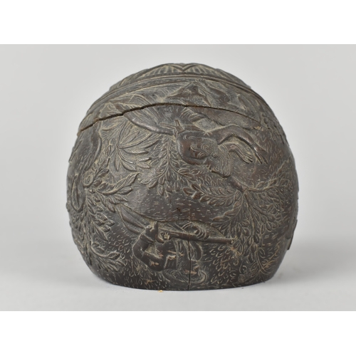 33 - An Early 19th Century Carved Colonial Coconut Decorated with Buildings and Huntsman with Rifle, Lid ... 