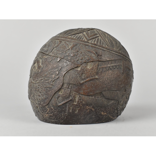 33 - An Early 19th Century Carved Colonial Coconut Decorated with Buildings and Huntsman with Rifle, Lid ... 