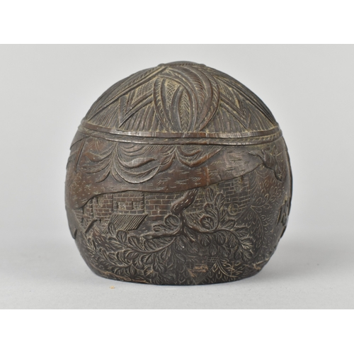 33 - An Early 19th Century Carved Colonial Coconut Decorated with Buildings and Huntsman with Rifle, Lid ... 
