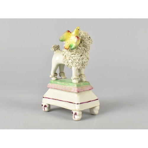 44 - A Late 19th Century Small Staffordshire Figure of a Poodle with Bird in Mouth Standing on Cushion Pl... 
