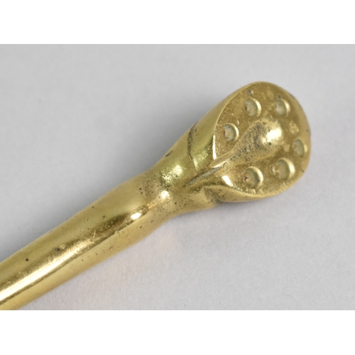 7 - A Novelty Brass Letter Opener Handle in the Form of a Horses Hoof and Leg, 22cm Long.