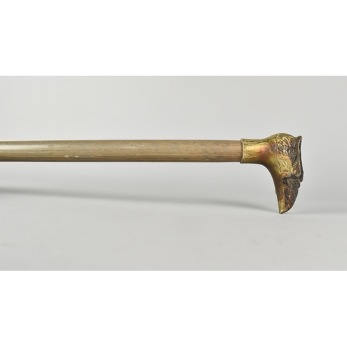 24 - A Wooden Cane with Eagles Head Handle, 81.5cms High