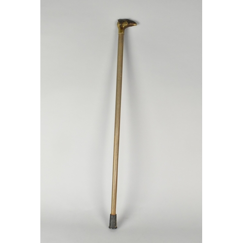 24 - A Wooden Cane with Eagles Head Handle, 81.5cms High