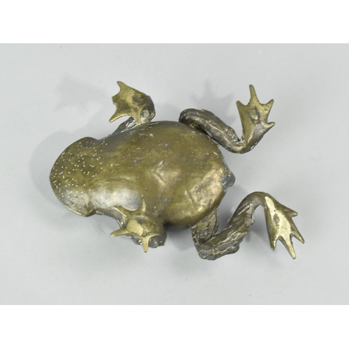 17 - A Chinese Patinated Bronze Study of a Toad, 14cms Long
