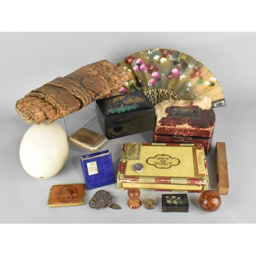 364 - A Collection of Various Curios to Include Ostrich Egg, Oriental Lacquered Box with Dragon Decoration... 